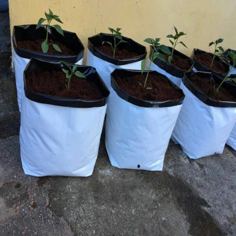 Nursery Grow Bags